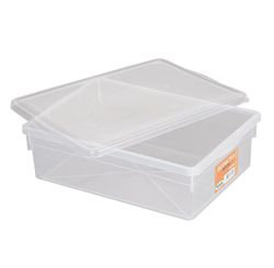 CAIXA ORGANIZADORA BIOPRATIKA COM TAMPA 11 L 0330 - PLEION