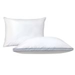 TRAVESSEIRO-PENAS-FEATHERLITE-EXTRA-FIRME-050X070-BRANCO---NIAZITEX