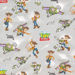 01204826-BELIZE-TOY-STORY-23328-0063