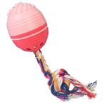 BOLA-MASSAG-SONORA-THE-DOG-TOY-P-18CM-10724-10105218