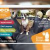 PETS BRASIL
