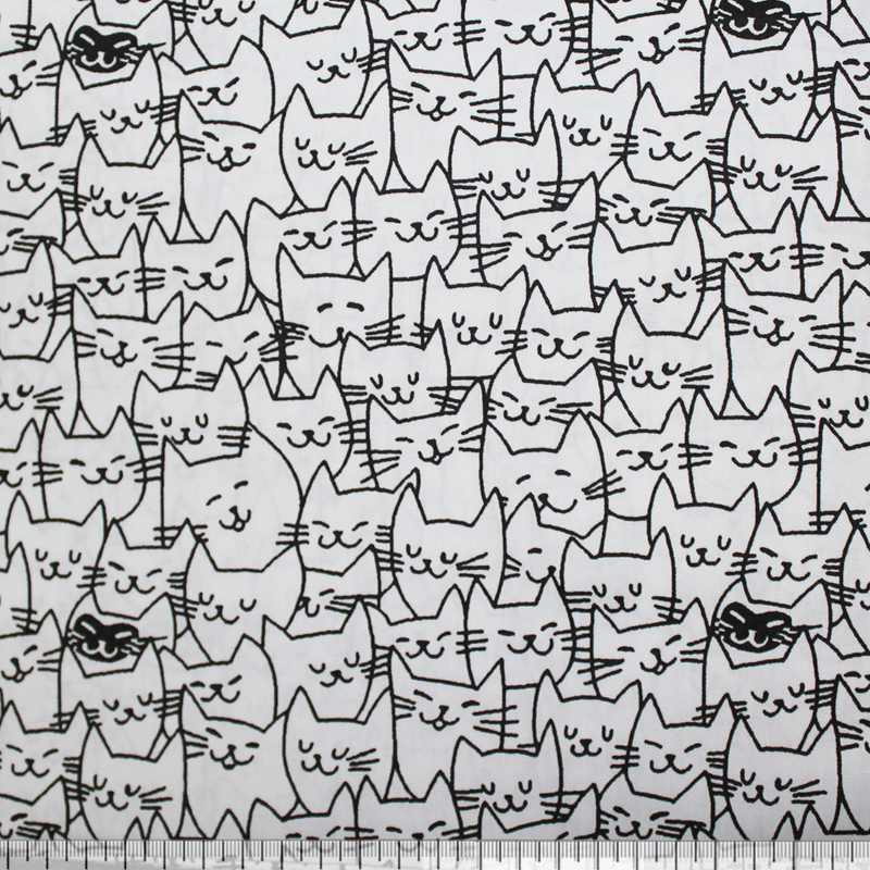 01209665-62427---Gato-feliz