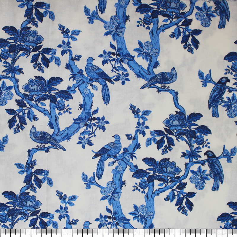 01209570-61806-Passaros-Azul--00000002-