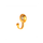 bracadeiragolden1