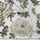 01209771Jacquard832802