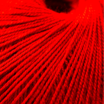 13000753-TOMATE--