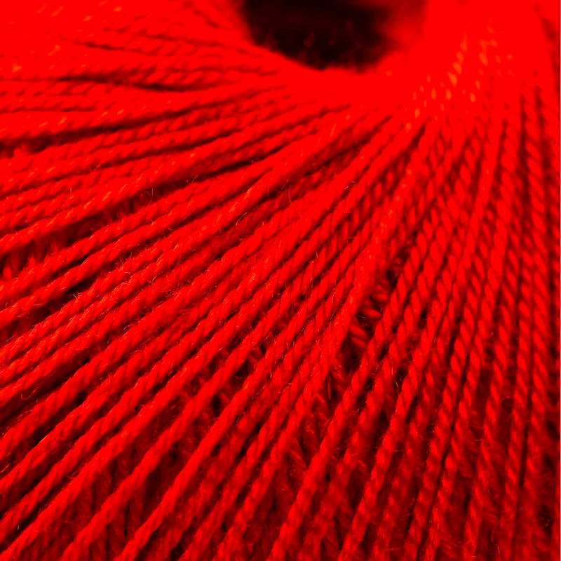 13000753-TOMATE--