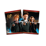 Painel_4_Laminas_-_Harry_Potter.site