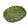 folhaleaf1png