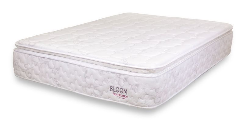 BLOOM-NIAZI-CHOF
