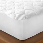 Design-sem-nome--10-
