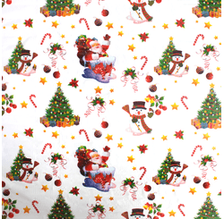 Plastico Transp Estampado Lg 1,40 Boneco de Neve 709