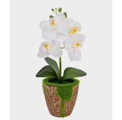 Arranjo de Orquidea Rustico Toque Real Artificial 25cm