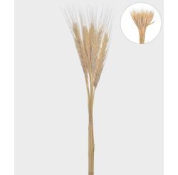 Haste de Trigo Seco 75 Cm