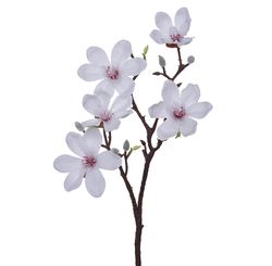 Haste Magnolia Real Artificial 50 Cm