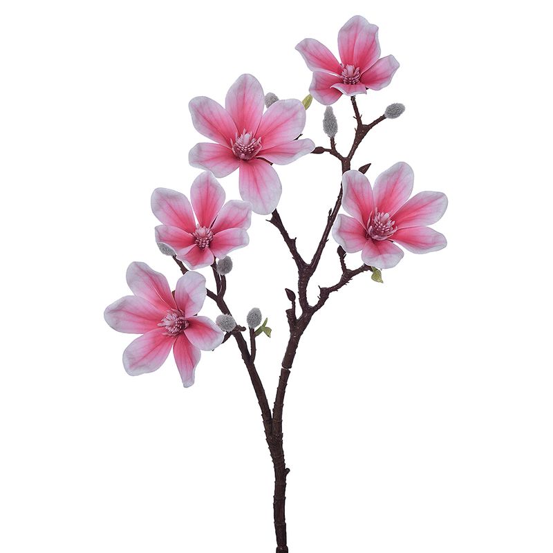 12013090