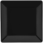 10007579--4-