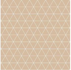 Plastico Termico Florista Estampado Lg1,40