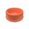 CORAL(21179)