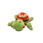 9079---TARTARUGA-----