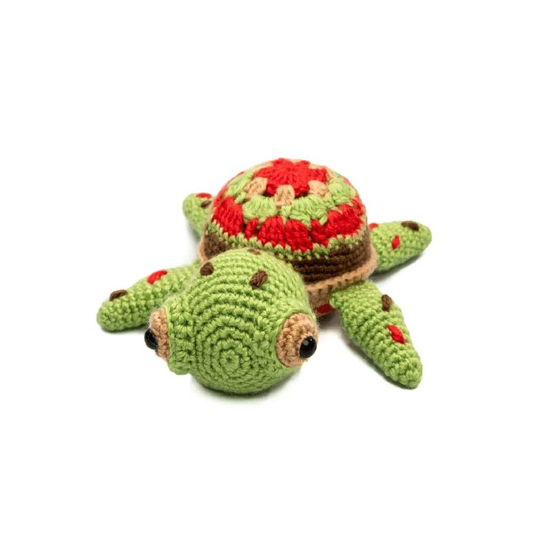 9079---TARTARUGA-----