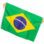 Bandeira Brasil Grande 60x100 Com Haste - Classe - Lojas França