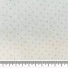 Hol 418 113
