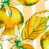 Lemon Listrado V02