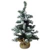 ISTMAS & CO