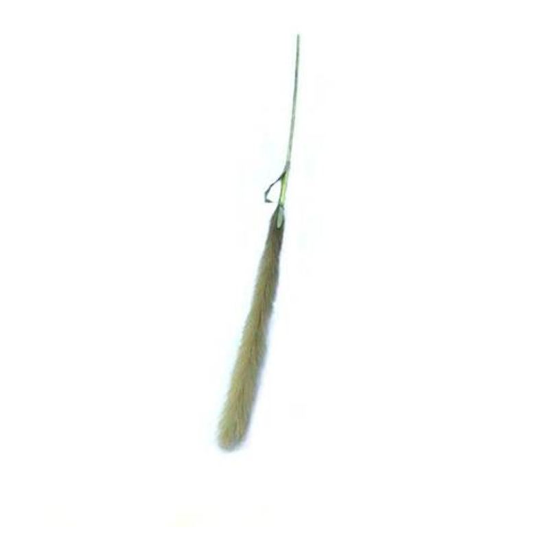 12013765