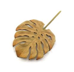 Haste Costela Adao Marrom Artificial 68cm Eva
