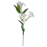 BC-0002