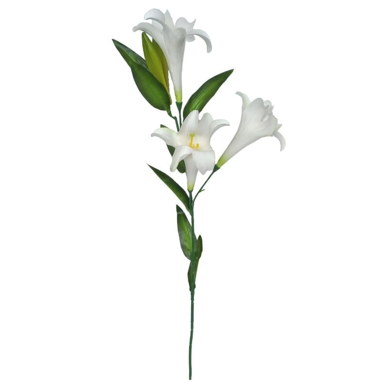 BC-0002