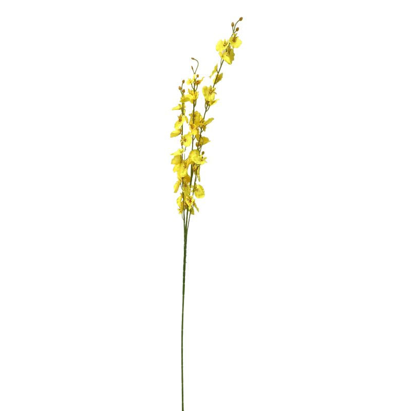 CR-0004