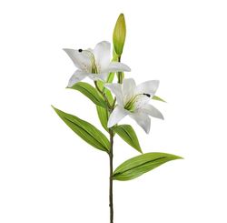 Haste de Lirio Com Botao Branco Em Pvc 77cm