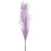 Lavanda