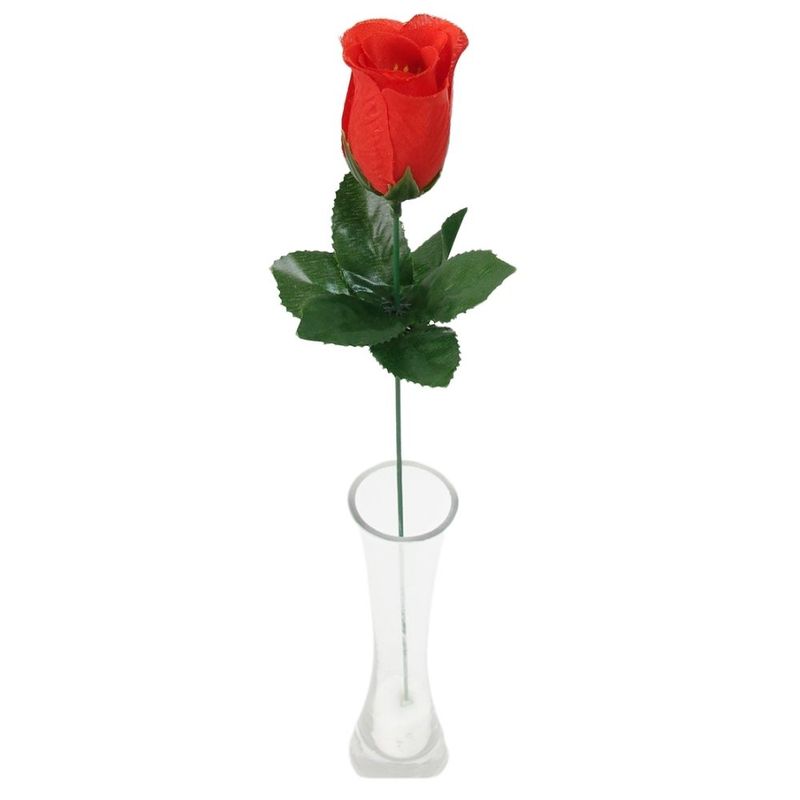 010566RED