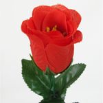 010566RED--2-