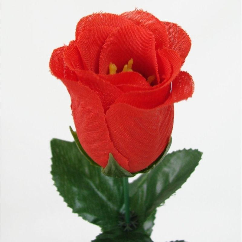 010566RED--2-