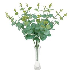 Buque de Eucalipto 47cm