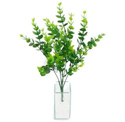 Buque de Eucalipto 34cm