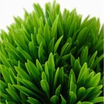 E0906--2-