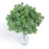 ulenta 20cm