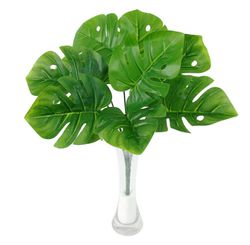 Mini Buque Costela de Adao 32cm