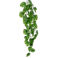 Pendente de Costela de Adao 75cm