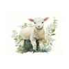  33*33 Lamb