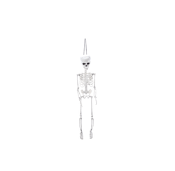 Esqueleto Articulado Charlie 75cm C/1 Un
