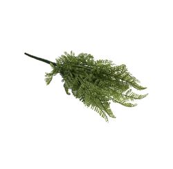 Buque Samambaia 33cm