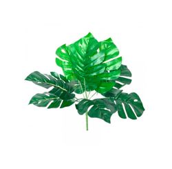 Buque Mini Costela Adao 32cm