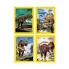 s – 4 Capas